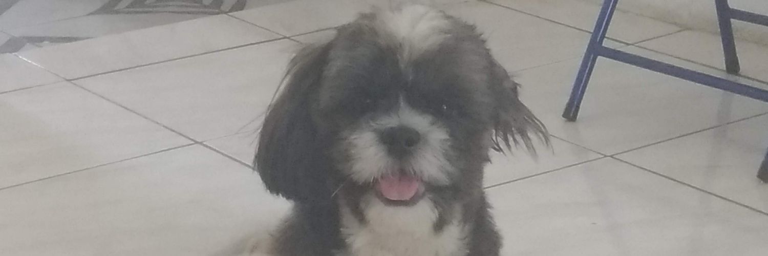 dellsantos_'s profile banner image