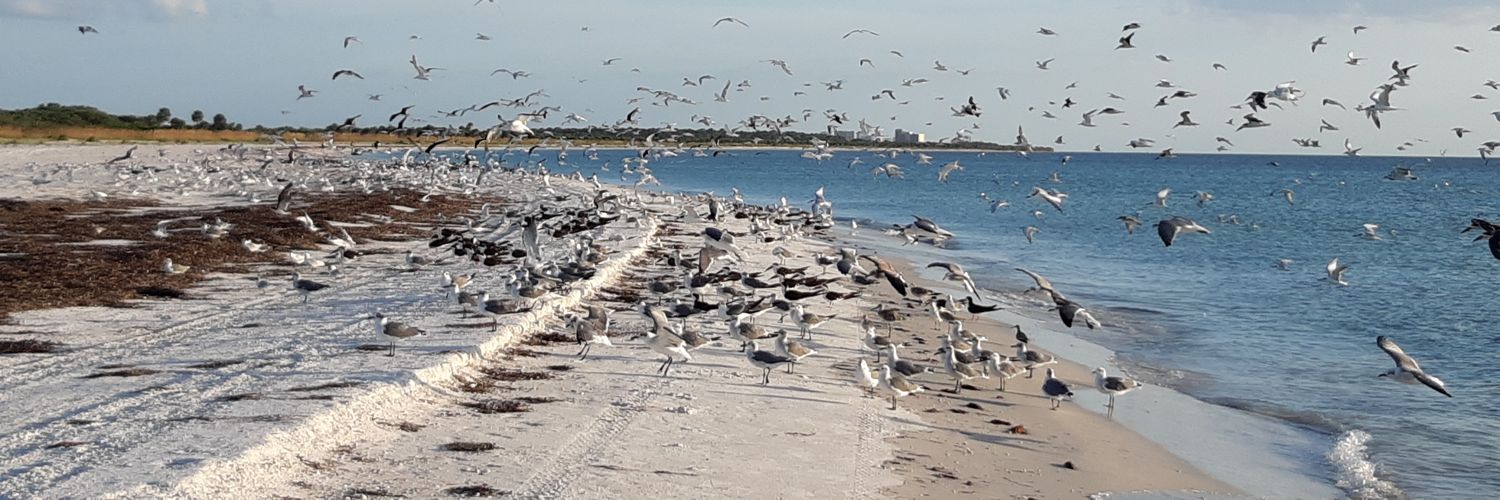 Neddy Astudillo banner