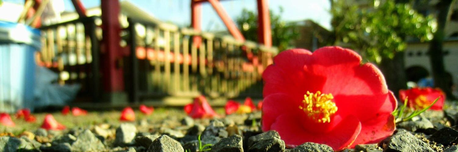 n_bxvv's profile banner image