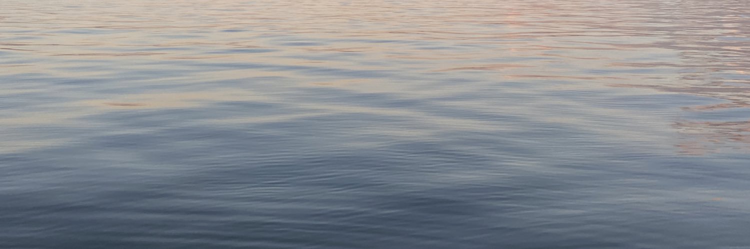 lulimps's profile banner image