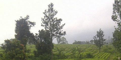 Basa99Basah's profile banner image