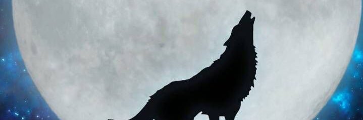 ReddesertAnn's profile banner image