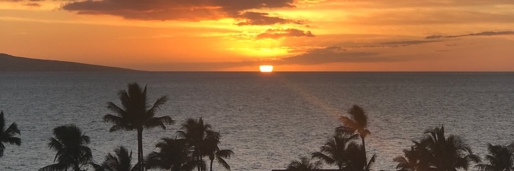 janeobr5's profile banner image