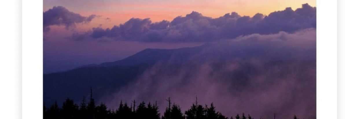 alma_3_f's profile banner image