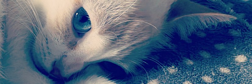 rayuela28's profile banner image