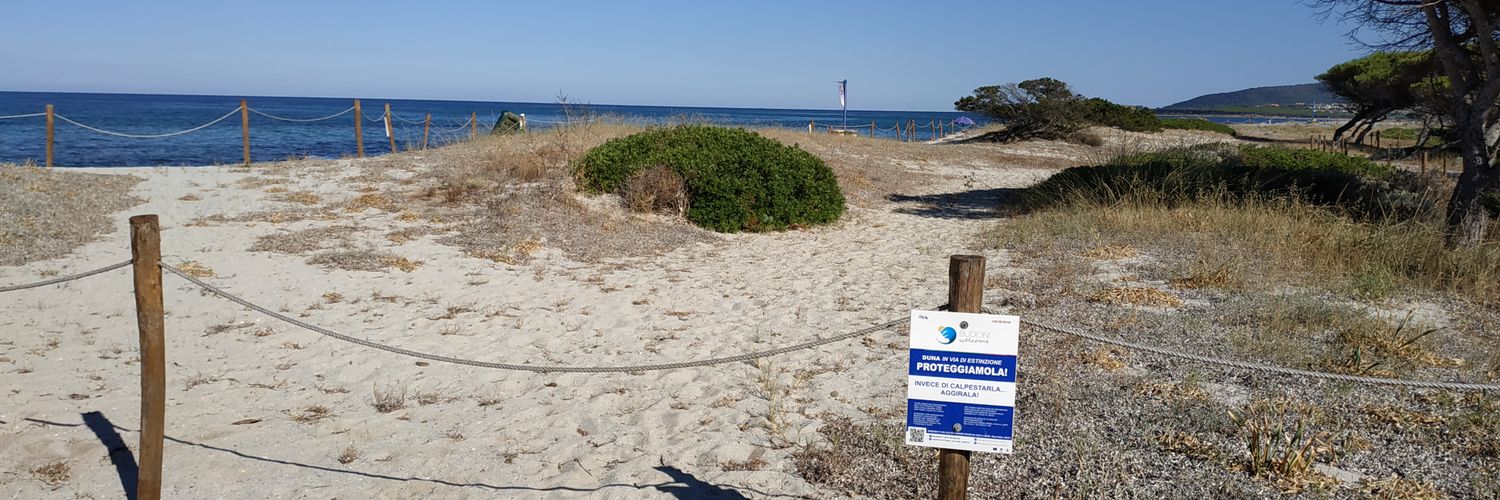 Fabrizio Bonanni ING banner