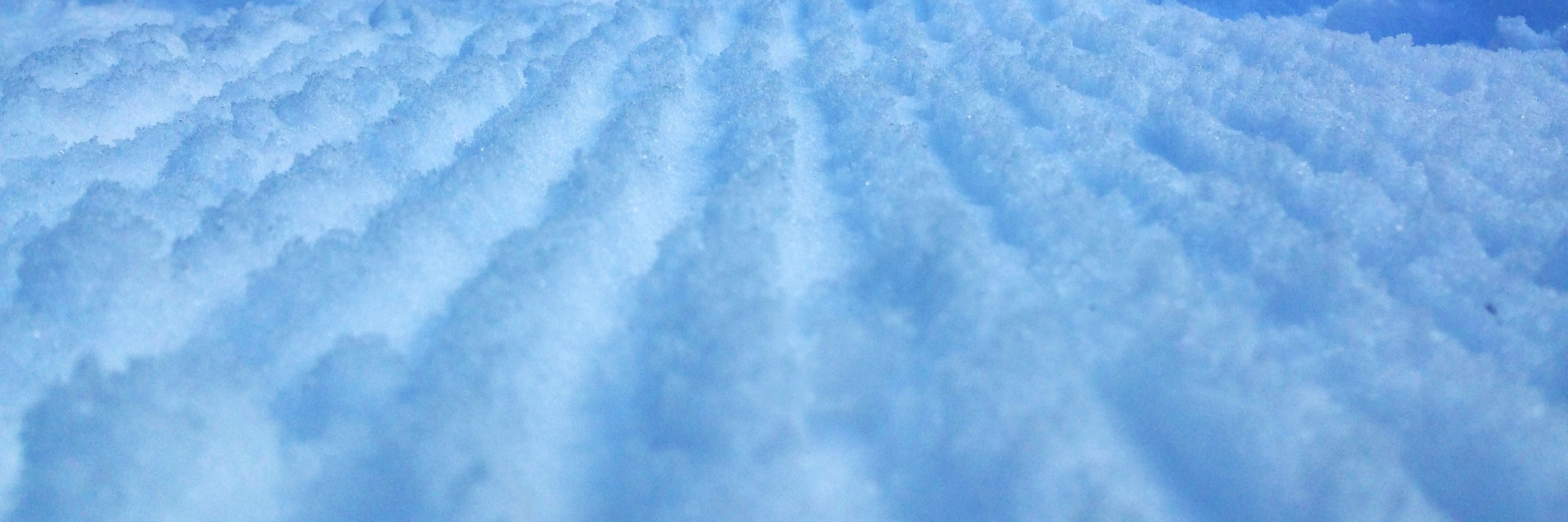 treeSKInny's profile banner image