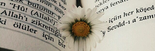 a_yollar's profile banner image