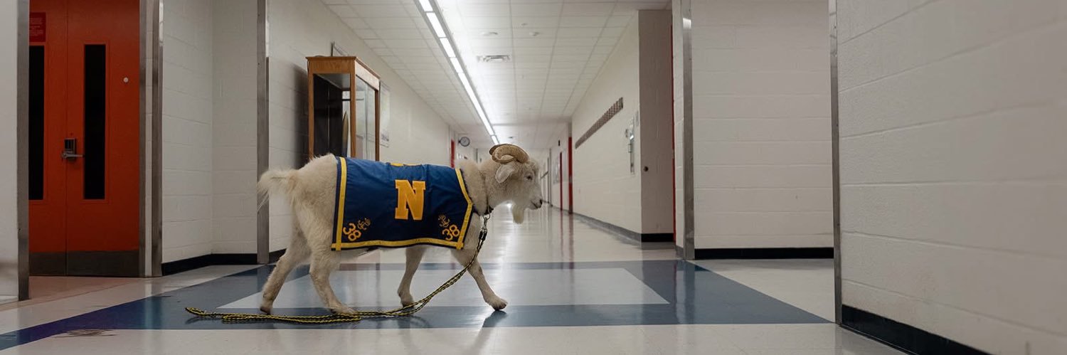 NNNGoat's profile banner image