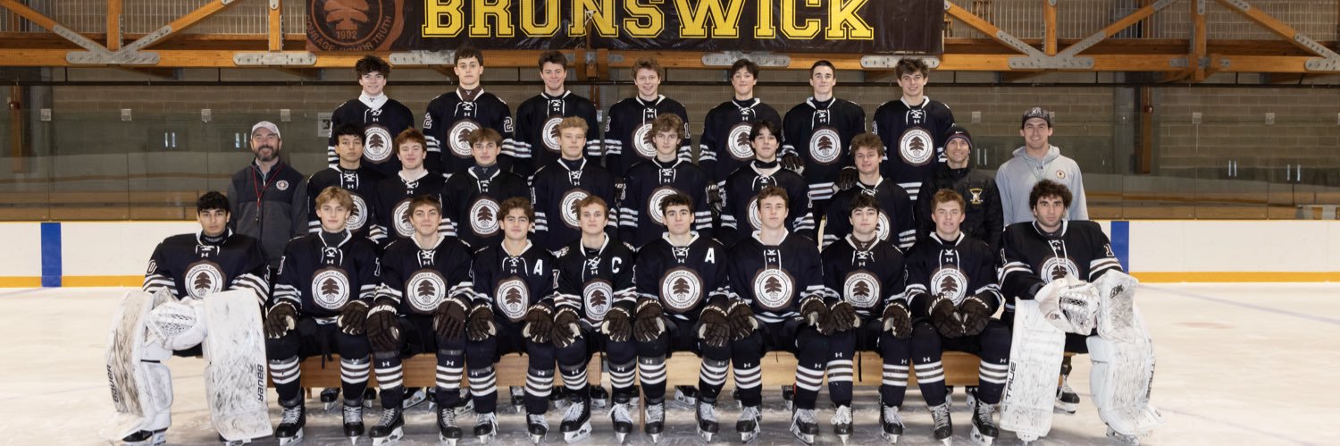 Brunswick Hockey banner