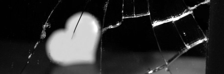 tzxtz's profile banner image