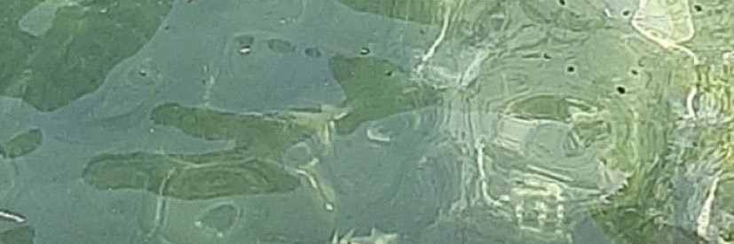 asopp4_'s profile banner image