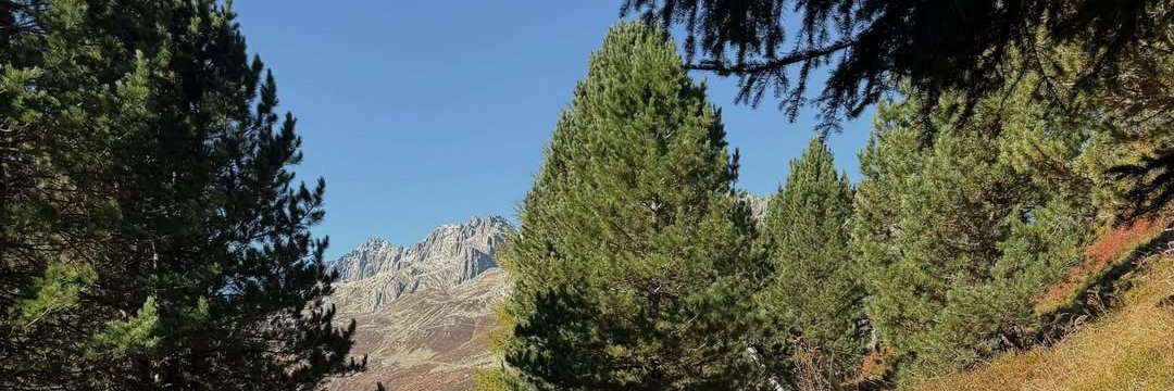 PatchBakerMusic's profile banner image