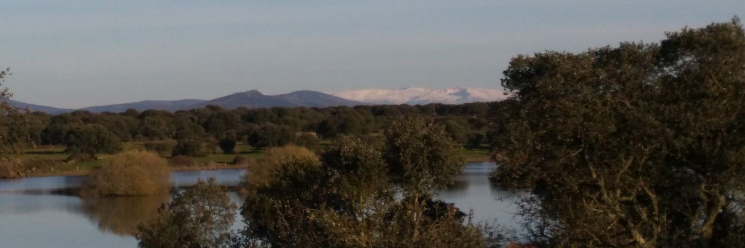arodriguezg96's profile banner image
