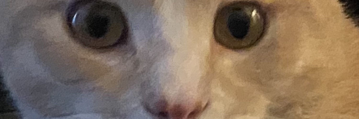 cameron0king's profile banner image