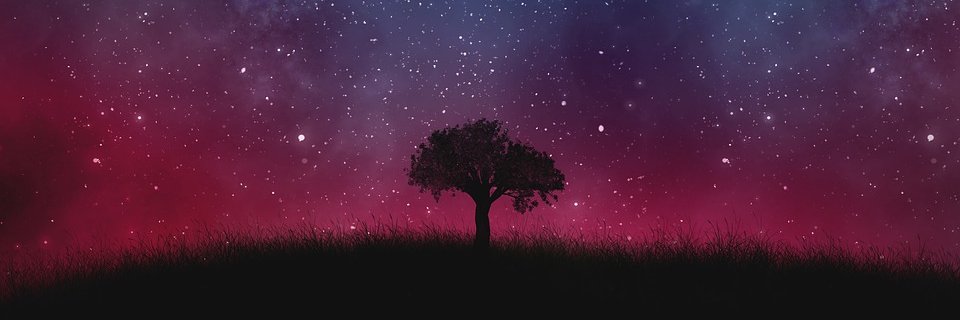 MissWoney's profile banner image