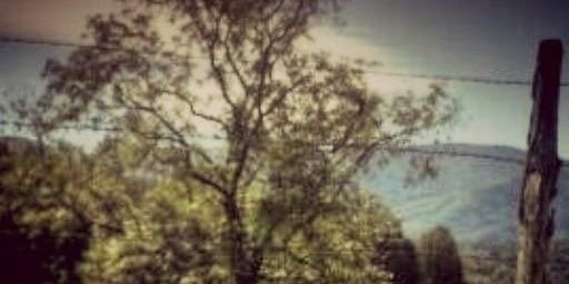 johnvmusicman's profile banner image