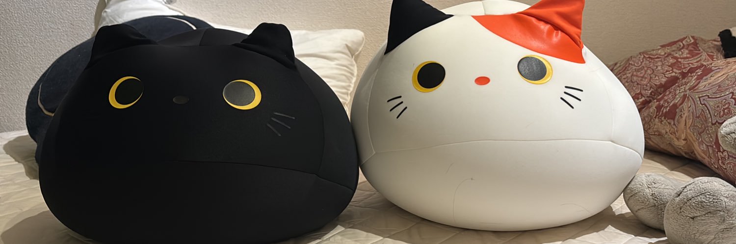 asuppipapa's profile banner image