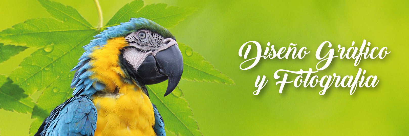 Oro84S's profile banner image