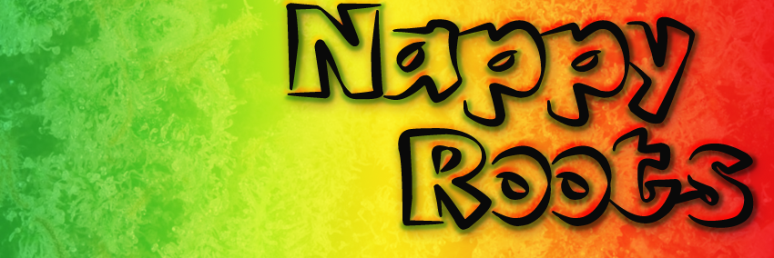 4Nappy2Roots0's profile banner image