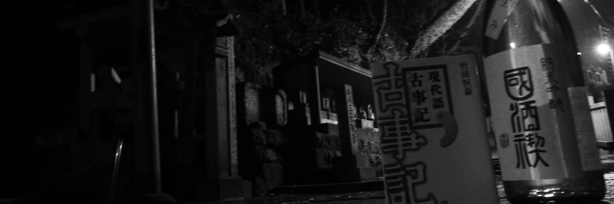 ぽんヴィシャス banner