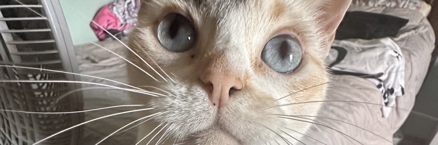 abby perez. banner