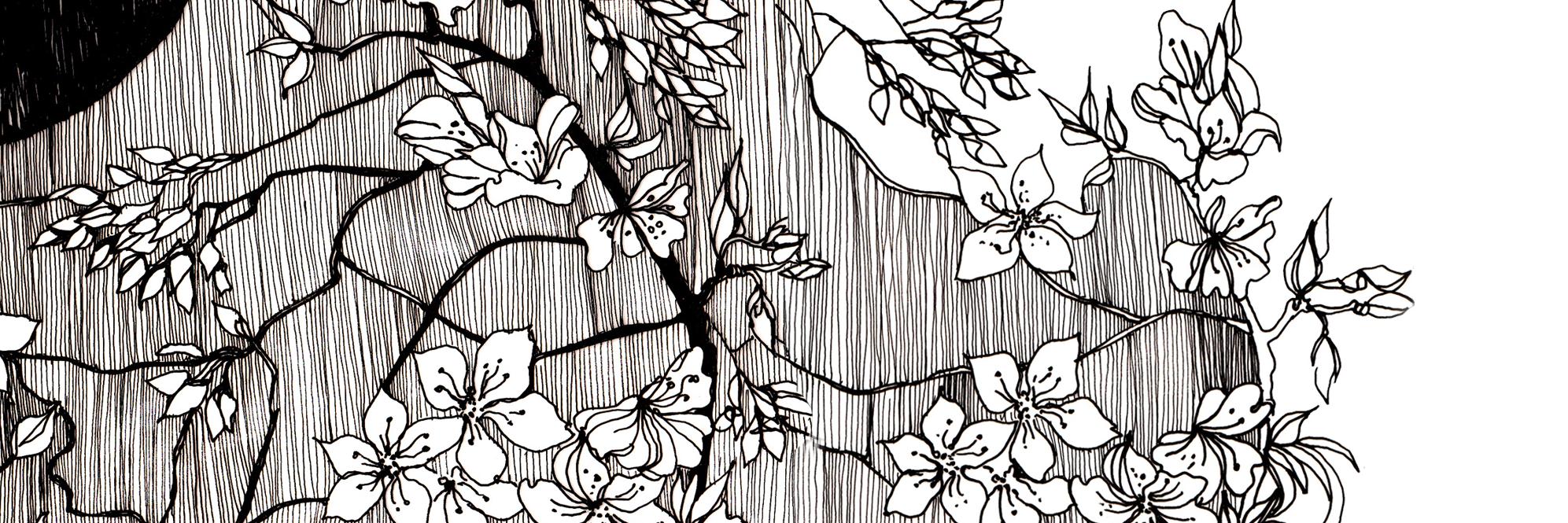 KatlinKaljuvee's profile banner image