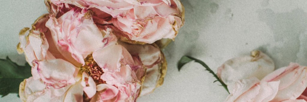 traci_lay's profile banner image