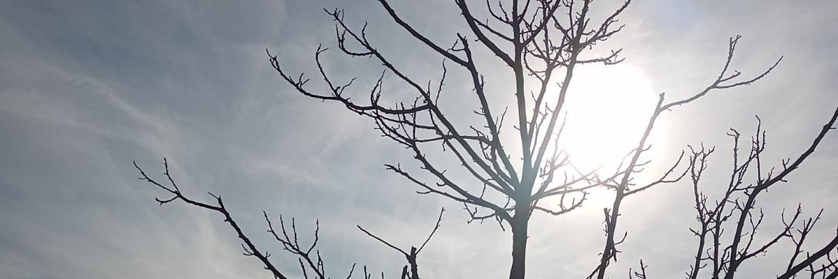 didemsarioglu's profile banner image