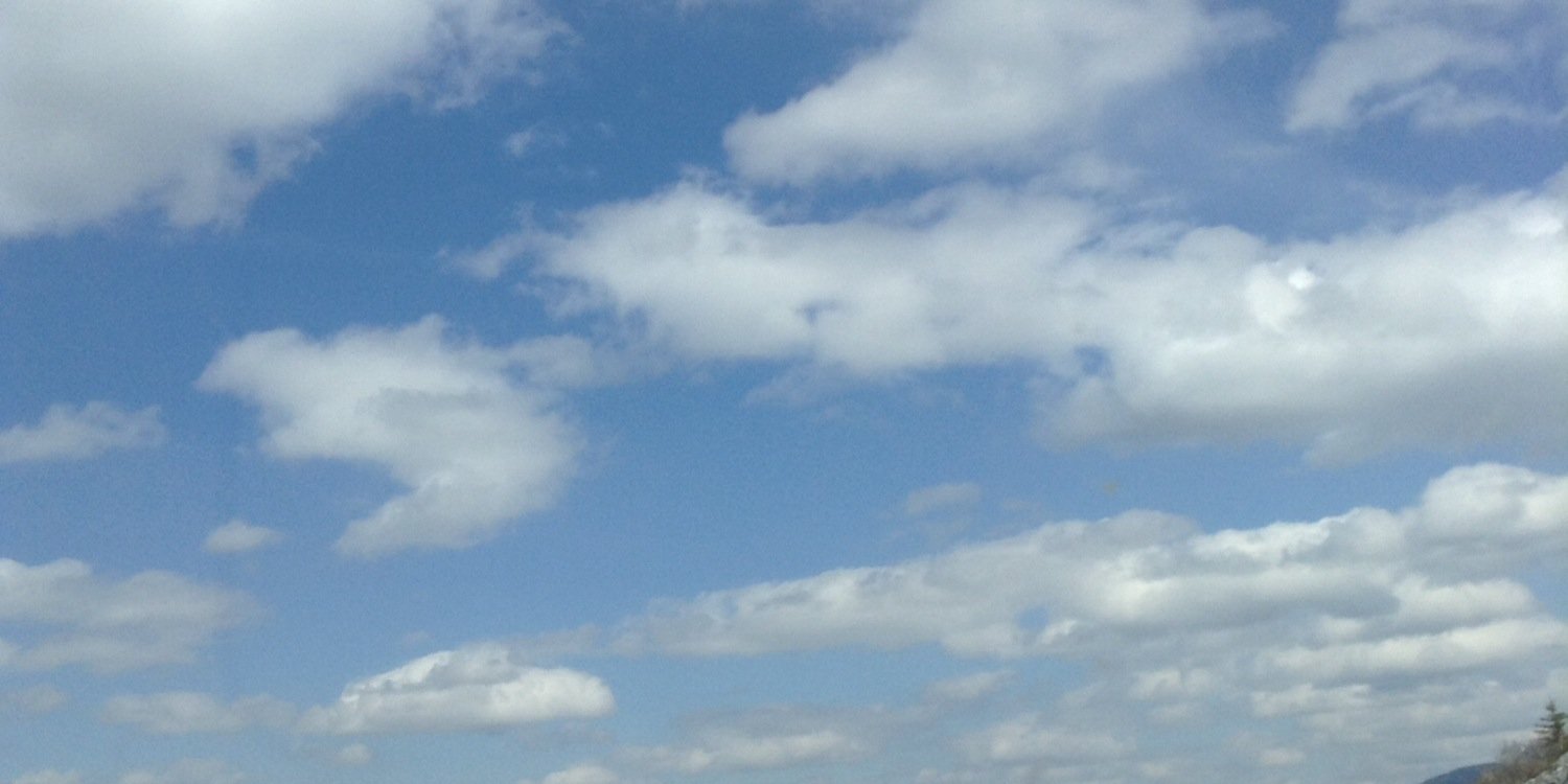 shayray115's profile banner image