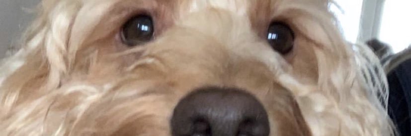Millicentrosew's profile banner image
