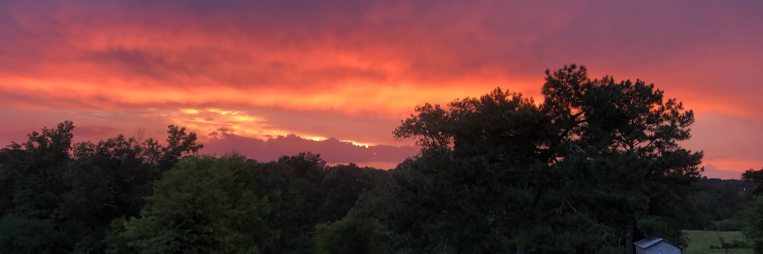 annaaascottt's profile banner image