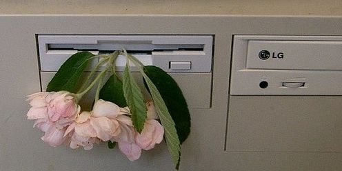 davidtolgdr's profile banner image