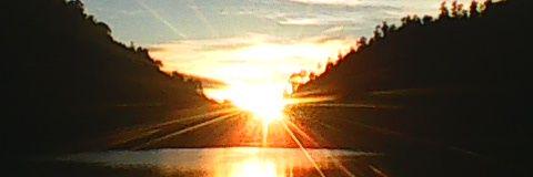 YogiEidelweis's profile banner image