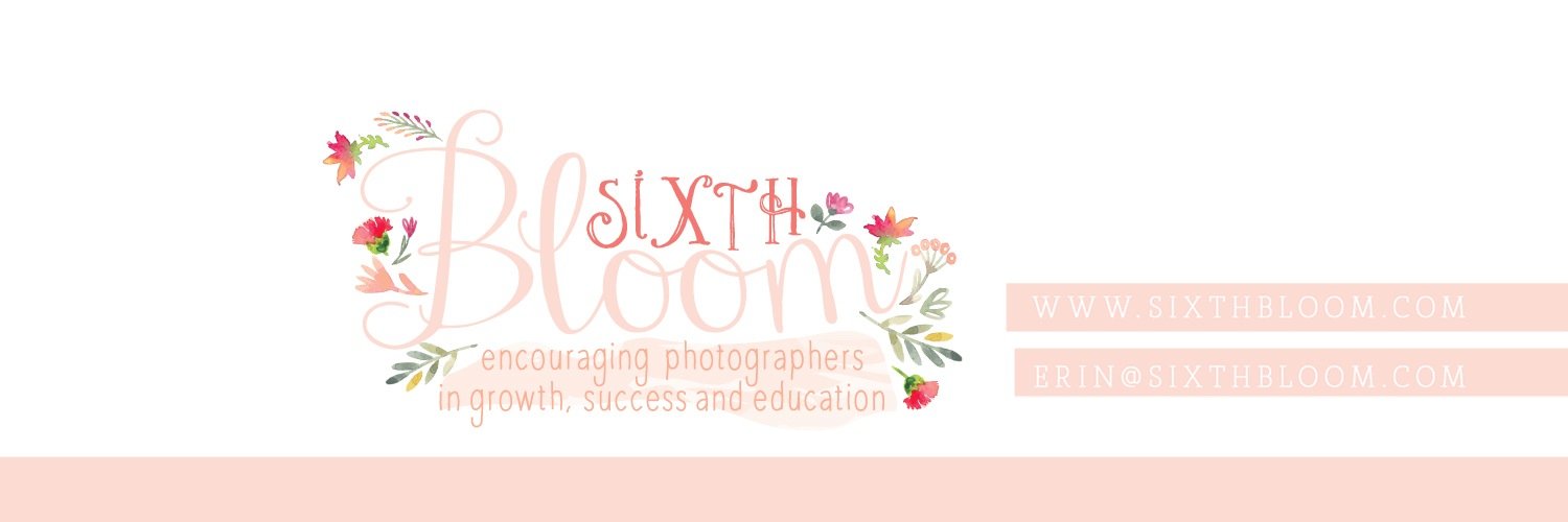 Sixth Bloom banner