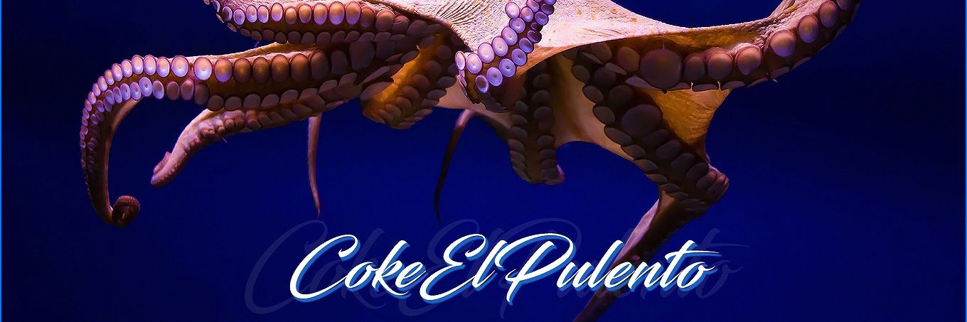 CokeElPulento's profile banner image