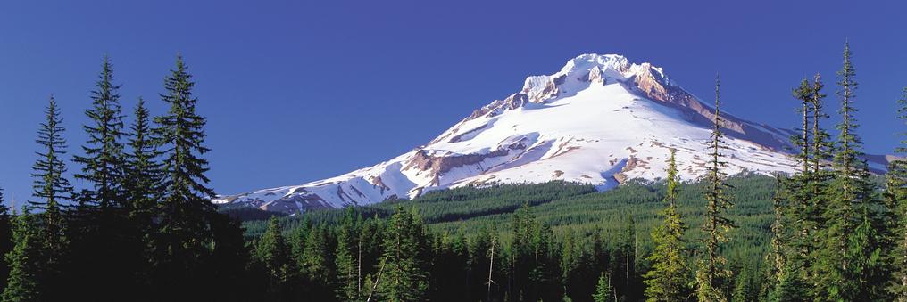 Oregon VOST banner