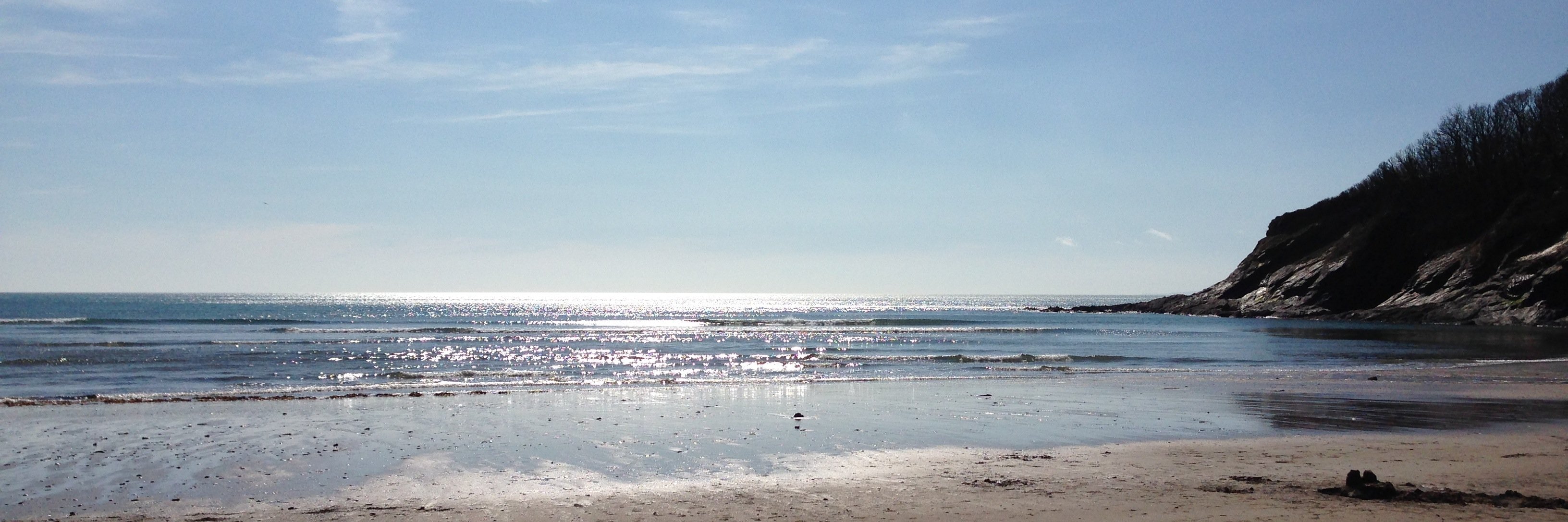 seashorecreativ's profile banner image
