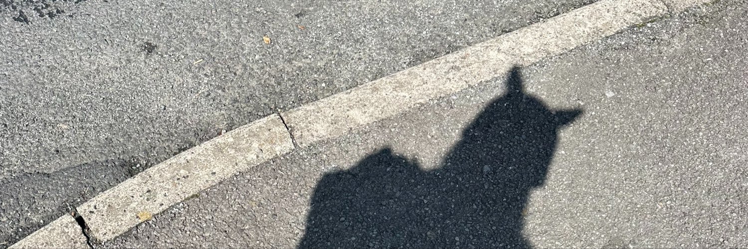 s0phi3_1509's profile banner image