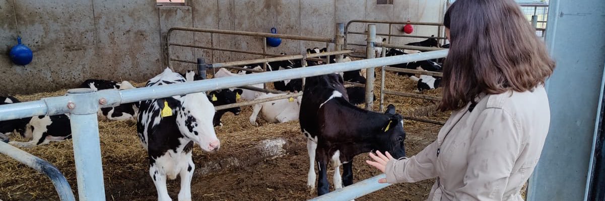 Sofía S. Manzanaro banner