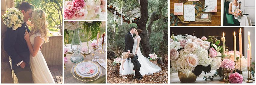 HoneyFitzEvents banner