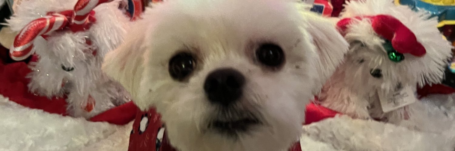 loshla's profile banner image