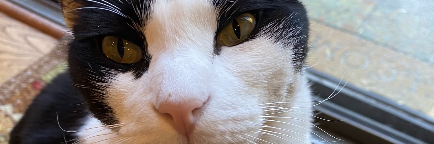 matt_porter69's profile banner image