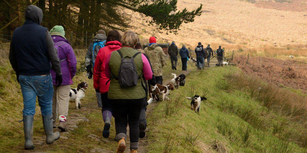 NWspringersUK's profile banner image