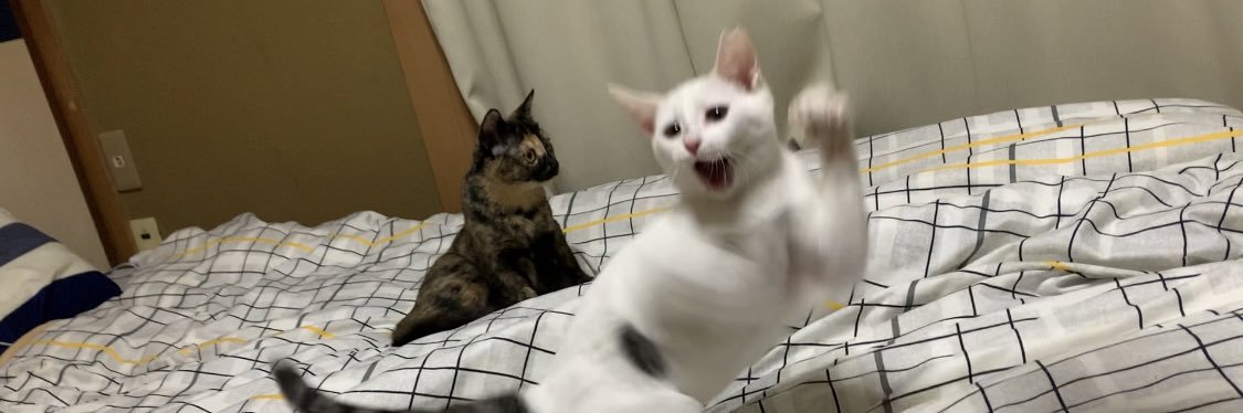 そうﾁｬﾝ@京都TRUST banner