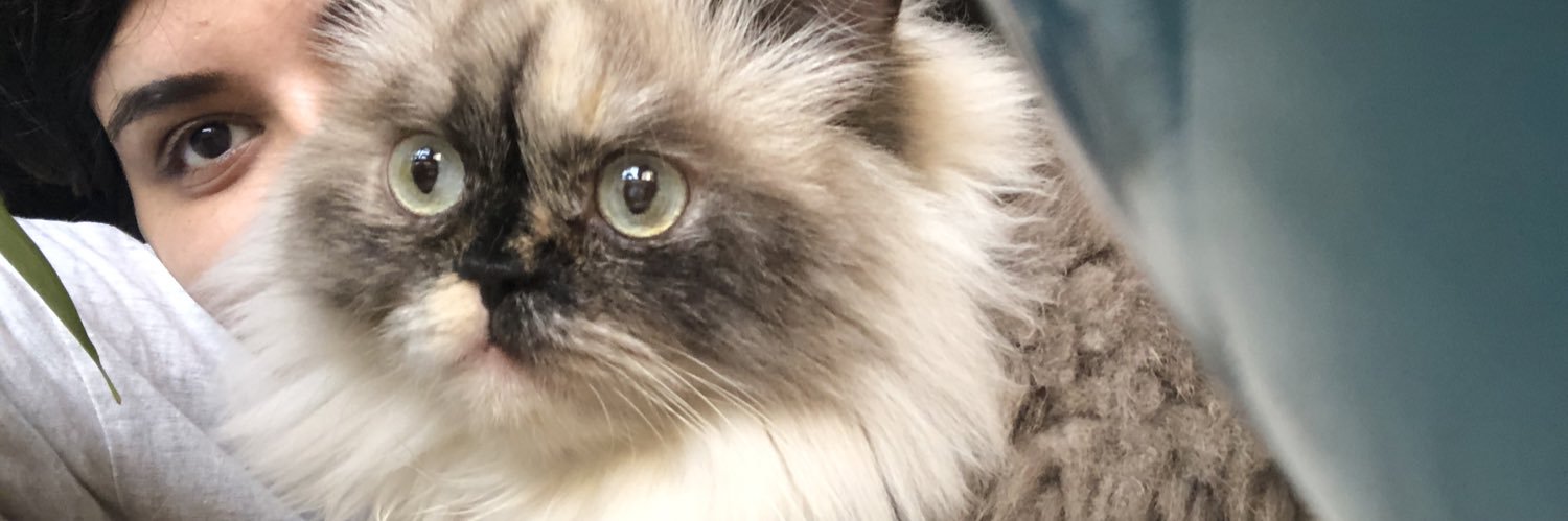 elizsyd's profile banner image
