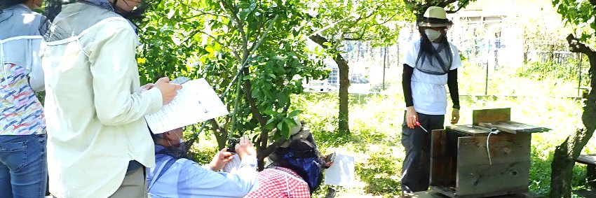 morinohachi's profile banner image