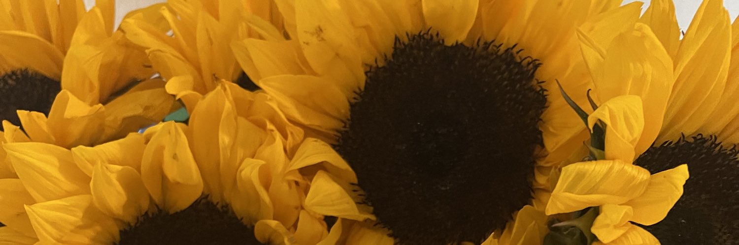 itsmadisonbabes's profile banner image