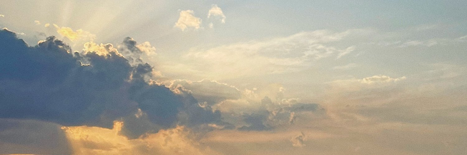 ariansoroushh's profile banner image