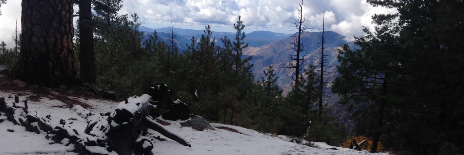CardozoAndrew's profile banner image